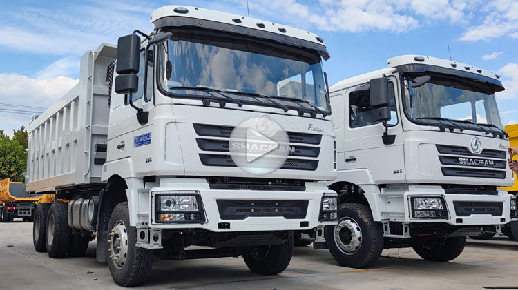 Dump Truck Shacman Trucks for Sale in Trinidad and Tobago